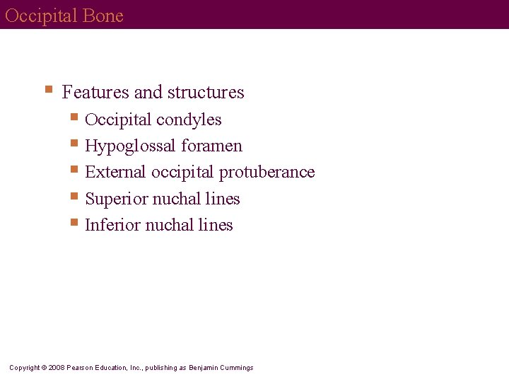 Occipital Bone § Features and structures § Occipital condyles § Hypoglossal foramen § External