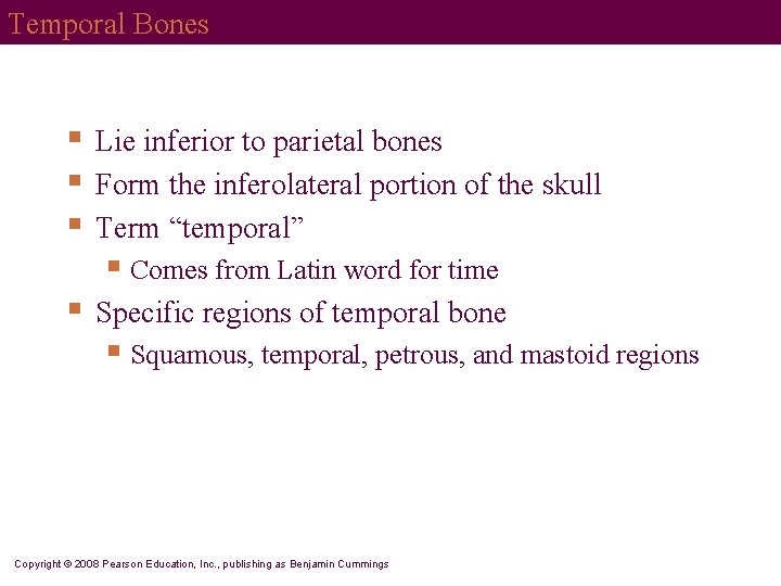 Temporal Bones § § § Lie inferior to parietal bones Form the inferolateral portion