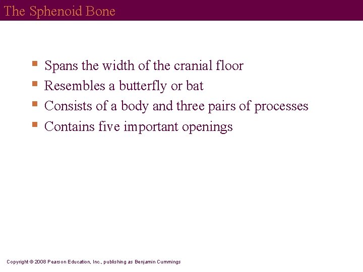 The Sphenoid Bone § § Spans the width of the cranial floor Resembles a