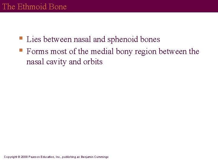 The Ethmoid Bone § § Lies between nasal and sphenoid bones Forms most of