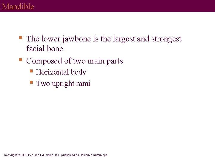 Mandible § § The lower jawbone is the largest and strongest facial bone Composed