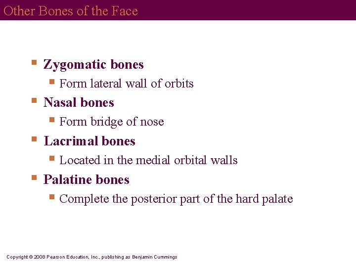 Other Bones of the Face § Zygomatic bones § Form lateral wall of orbits