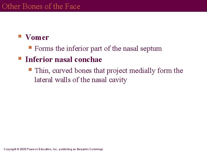 Other Bones of the Face § Vomer § Forms the inferior part of the