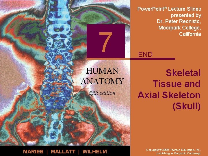 7 HUMAN ANATOMY fifth edition MARIEB | MALLATT | WILHELM Power. Point® Lecture Slides