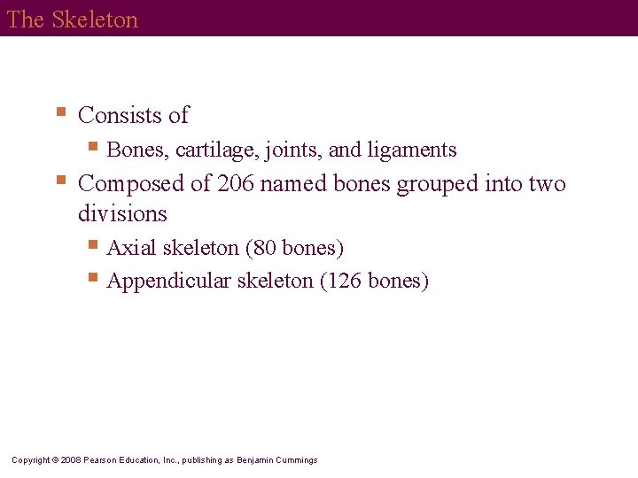 The Skeleton § Consists of § Bones, cartilage, joints, and ligaments § Composed of