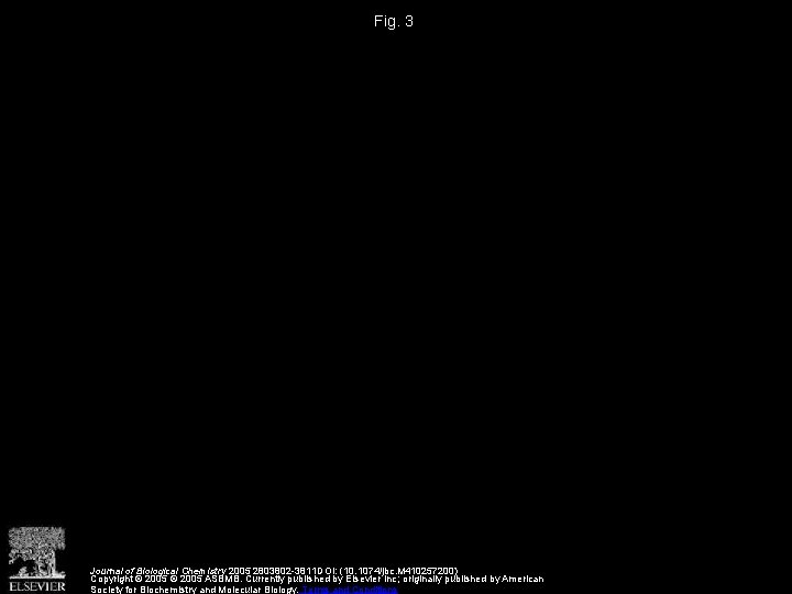 Fig. 3 Journal of Biological Chemistry 2005 2803802 -3811 DOI: (10. 1074/jbc. M 410257200)
