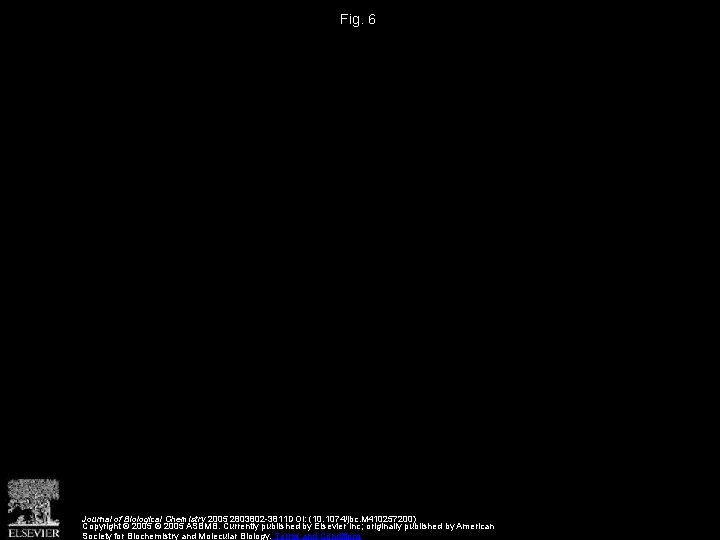Fig. 6 Journal of Biological Chemistry 2005 2803802 -3811 DOI: (10. 1074/jbc. M 410257200)