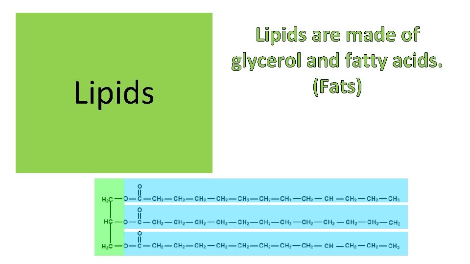Lipids are made of glycerol and fatty acids. (Fats) 