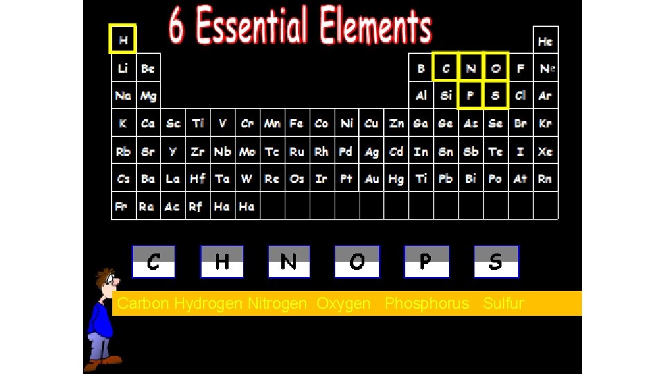 Carbon Hydrogen Nitrogen Oxygen Phosphorus Sulfur 