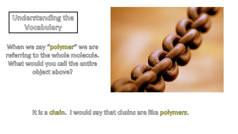 Understanding the Vocabulary When we say “polymer” we are referring to the whole molecule.