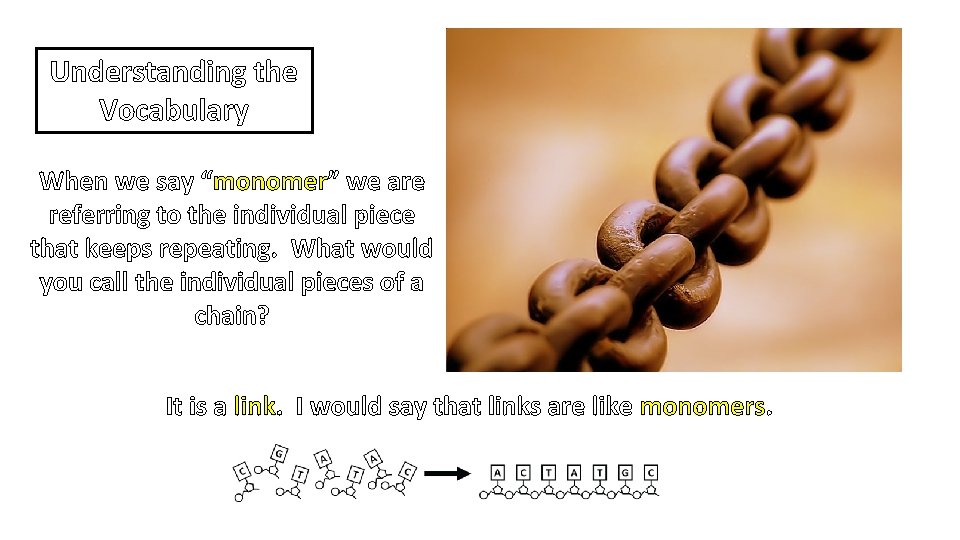 Understanding the Vocabulary When we say “monomer” we are referring to the individual piece