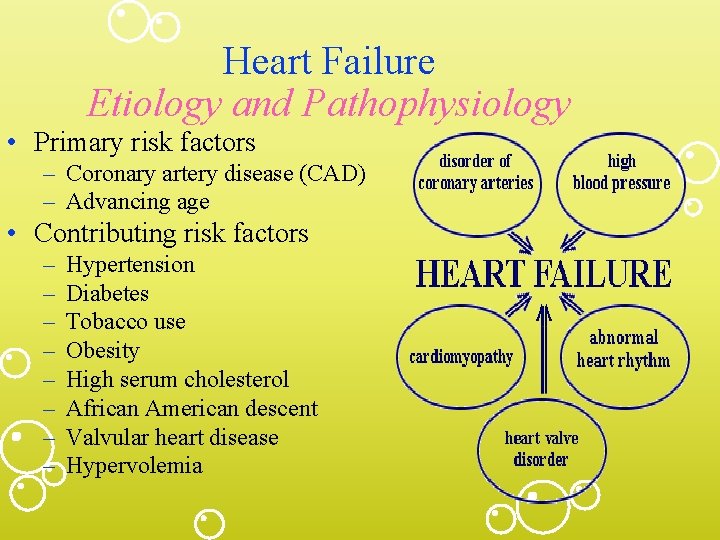 Heart Failure Etiology and Pathophysiology • Primary risk factors – Coronary artery disease (CAD)