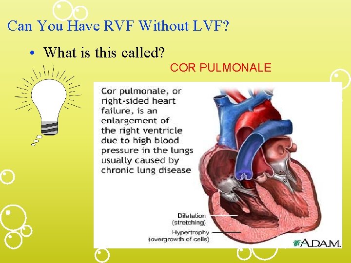 Can You Have RVF Without LVF? • What is this called? COR PULMONALE 