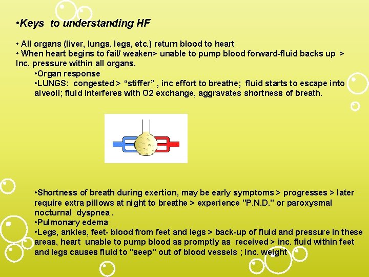  • Keys to understanding HF • All organs (liver, lungs, legs, etc. )