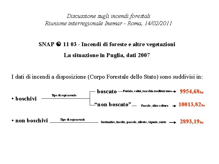 Discussione sugli incendi forestali Riunione interregionale Inemar - Roma, 14/02/2011 SNAP 11 03 -