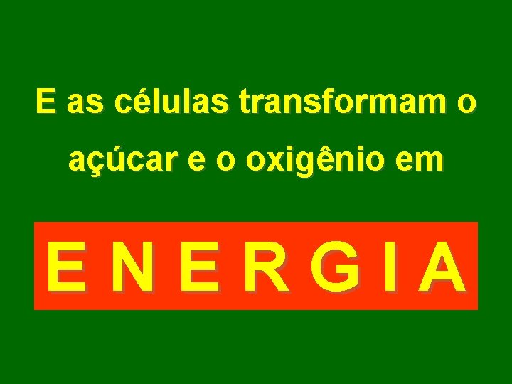 E as células transformam o açúcar e o oxigênio em ENERGIA 