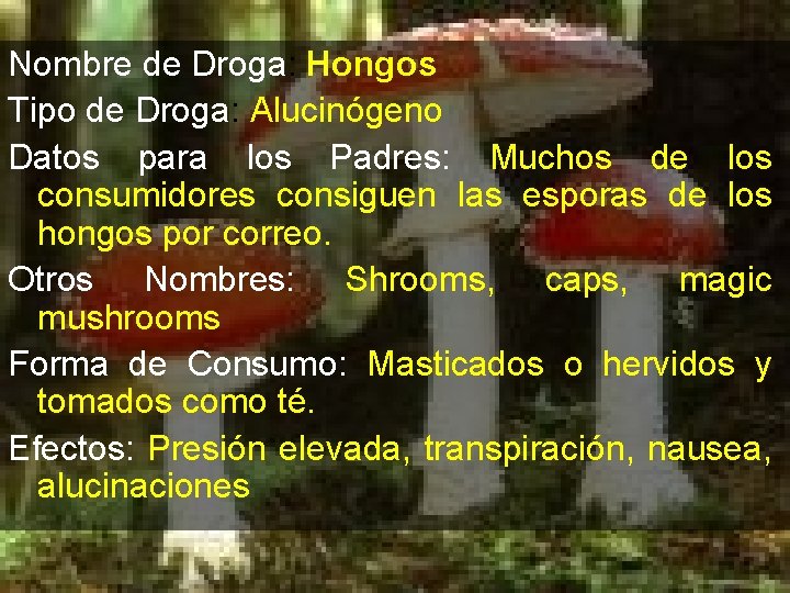 Nombre de Droga: Hongos Tipo de Droga: Alucinógeno Datos para los Padres: Muchos de