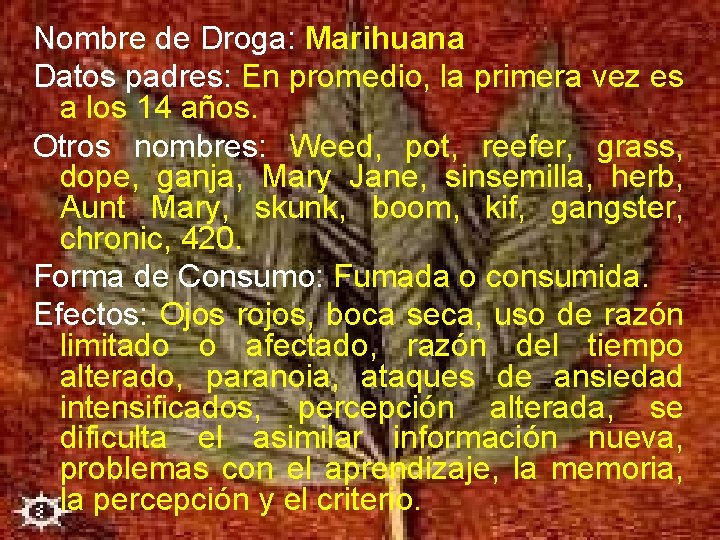 Nombre de Droga: Marihuana Datos padres: En promedio, la primera vez es a los