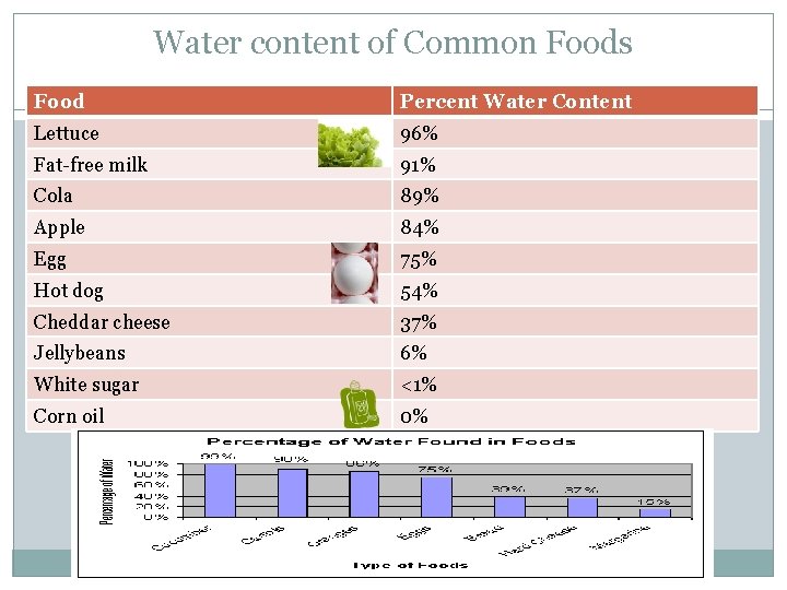 Water content of Common Foods Food Percent Water Content Lettuce 96% Fat-free milk 91%