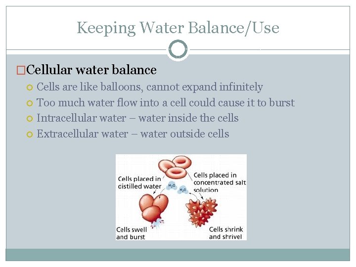 Keeping Water Balance/Use �Cellular water balance Cells are like balloons, cannot expand infinitely Too