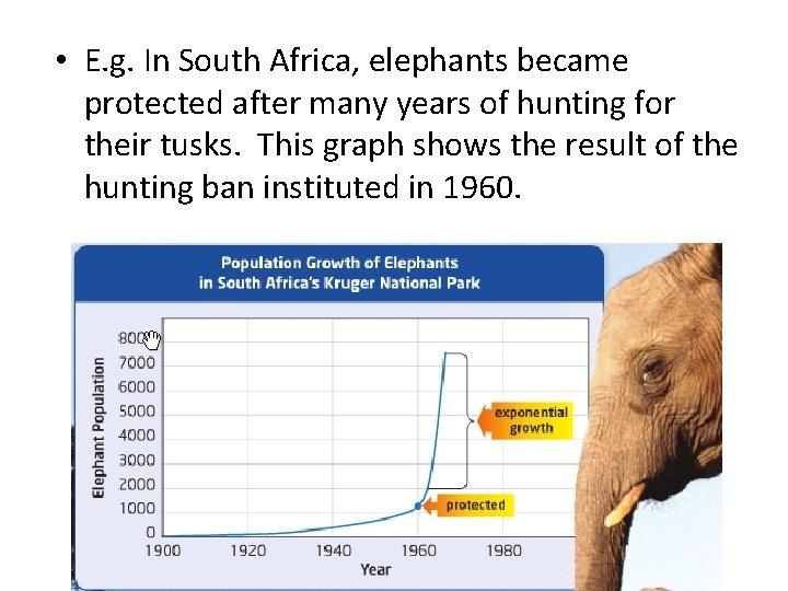  • E. g. In South Africa, elephants became protected after many years of