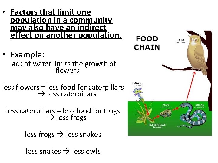  • Factors that limit one population in a community may also have an