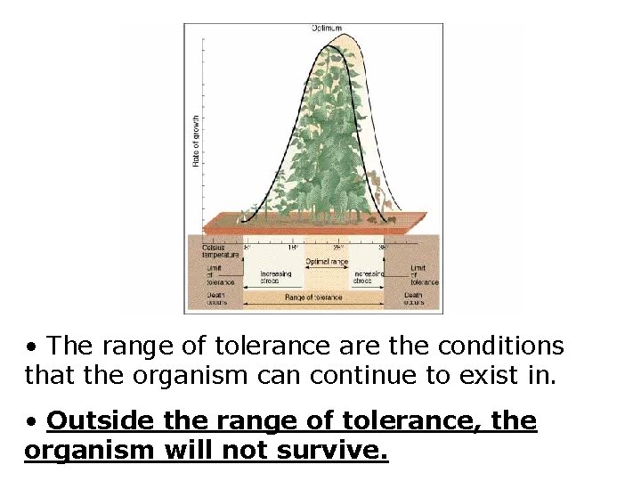  • The range of tolerance are the conditions that the organism can continue