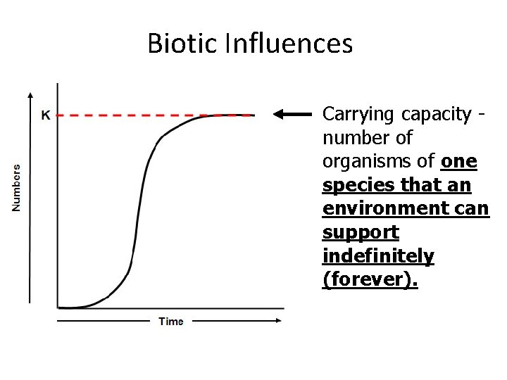 Biotic Influences Carrying capacity number of organisms of one species that an environment can