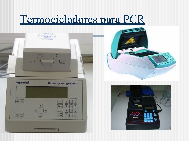 Termocicladores para PCR 