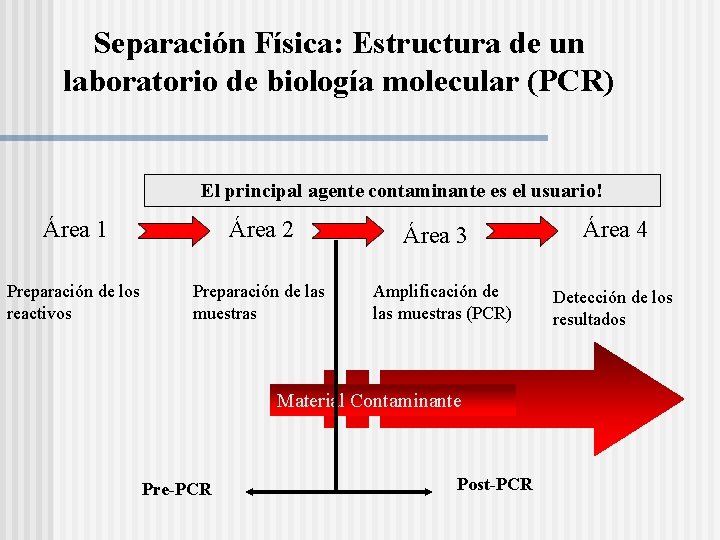 Separación Física: Estructura de un laboratorio de biología molecular (PCR) El principal agente contaminante