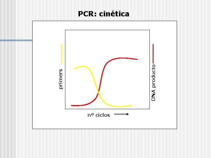 primers DNA producto PCR: cinética nº ciclos 