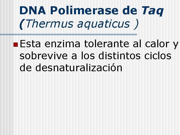 DNA Polimerase de Taq (Thermus aquaticus ) n Esta enzima tolerante al calor y