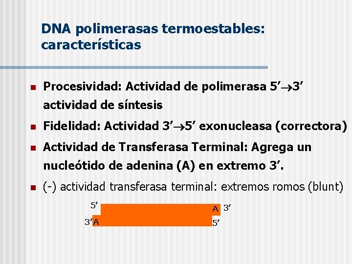 DNA polimerasas termoestables: características n Procesividad: Actividad de polimerasa 5’ 3’ actividad de síntesis