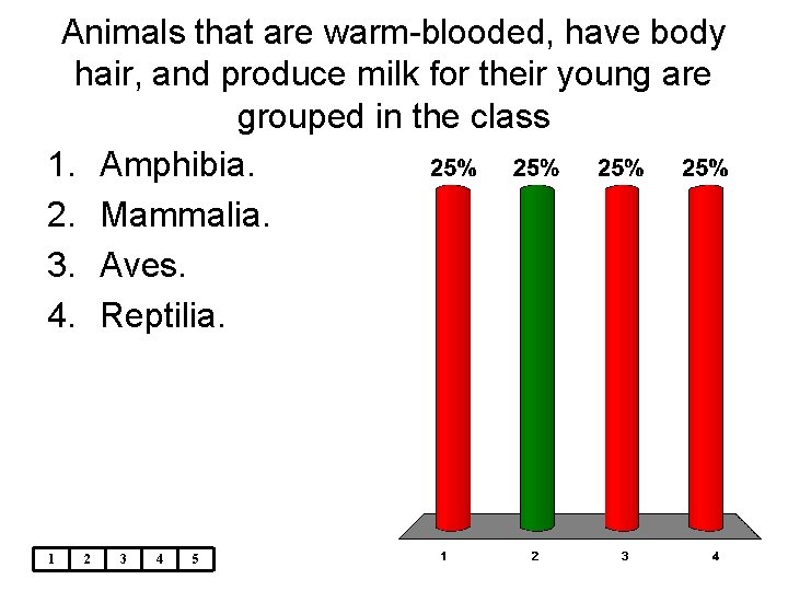 Animals that are warm-blooded, have body hair, and produce milk for their young are