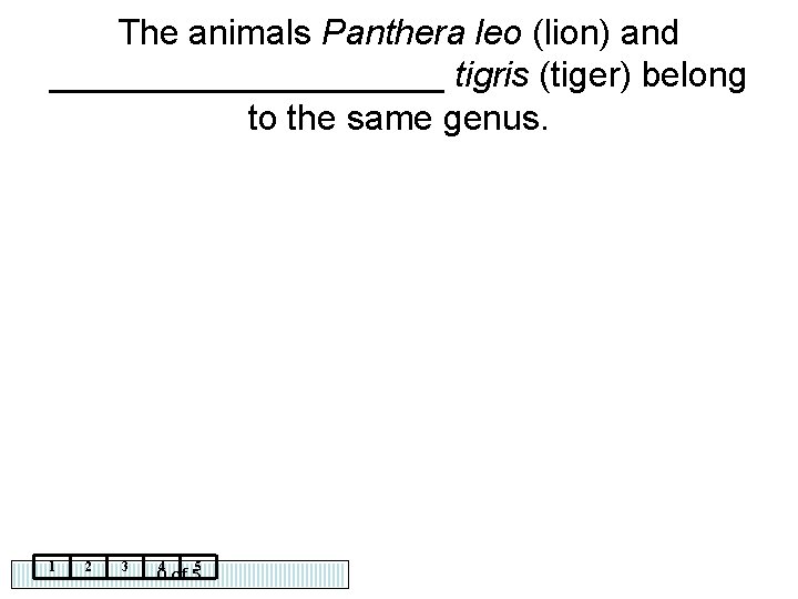 The animals Panthera leo (lion) and __________ tigris (tiger) belong to the same genus.