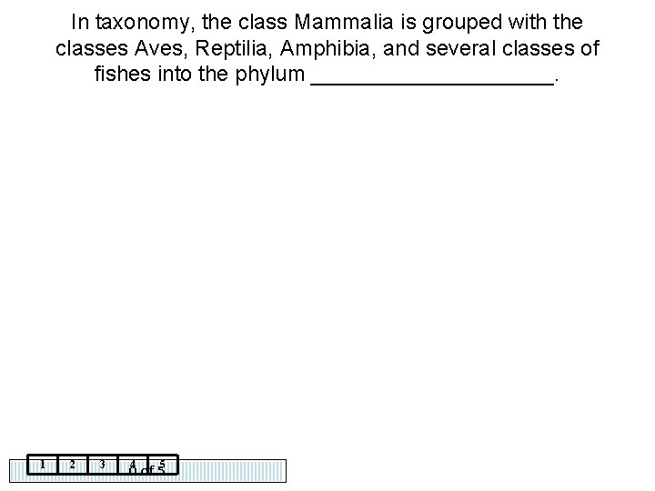 In taxonomy, the class Mammalia is grouped with the classes Aves, Reptilia, Amphibia, and