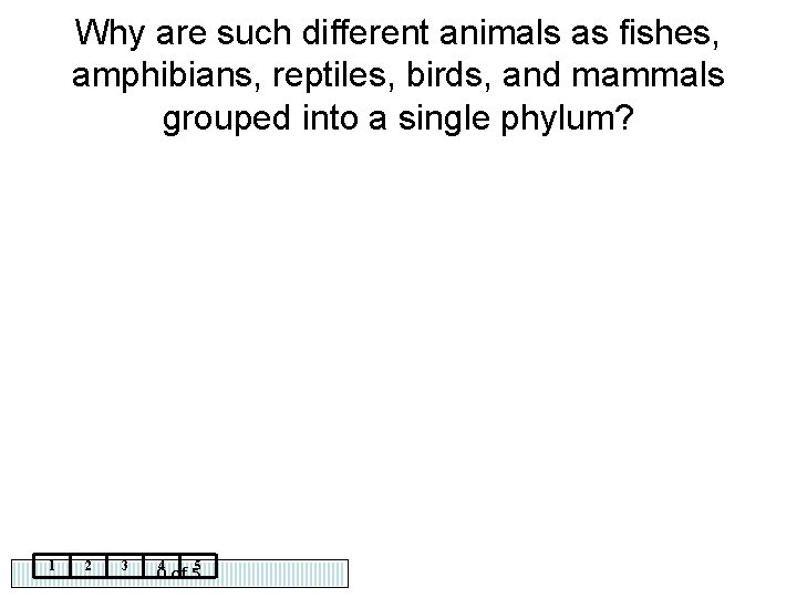 Why are such different animals as fishes, amphibians, reptiles, birds, and mammals grouped into