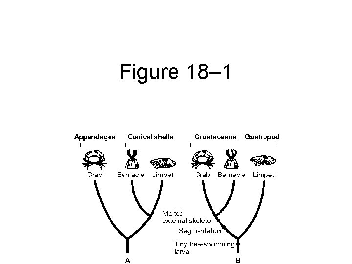 Figure 18– 1 