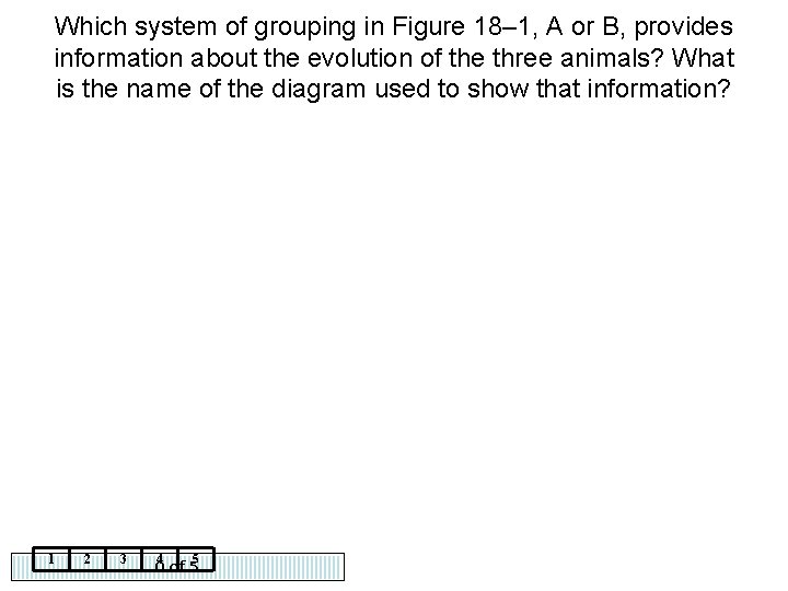 Which system of grouping in Figure 18– 1, A or B, provides information about