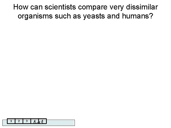 How can scientists compare very dissimilar organisms such as yeasts and humans? 1 2