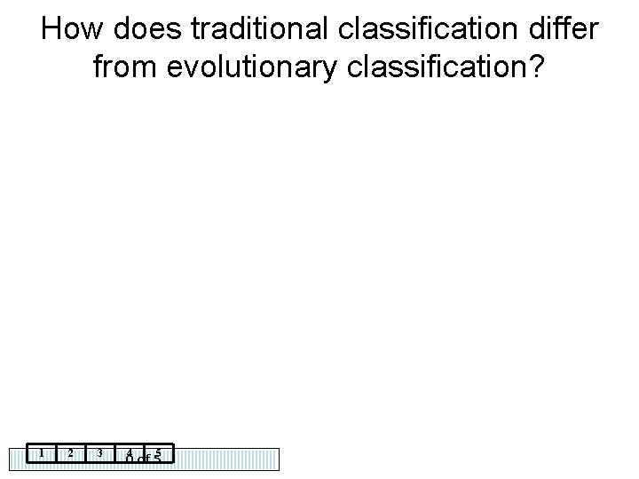 How does traditional classification differ from evolutionary classification? 1 2 3 4 5 0