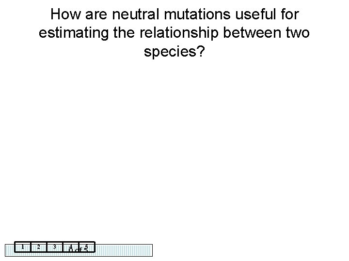 How are neutral mutations useful for estimating the relationship between two species? 1 2