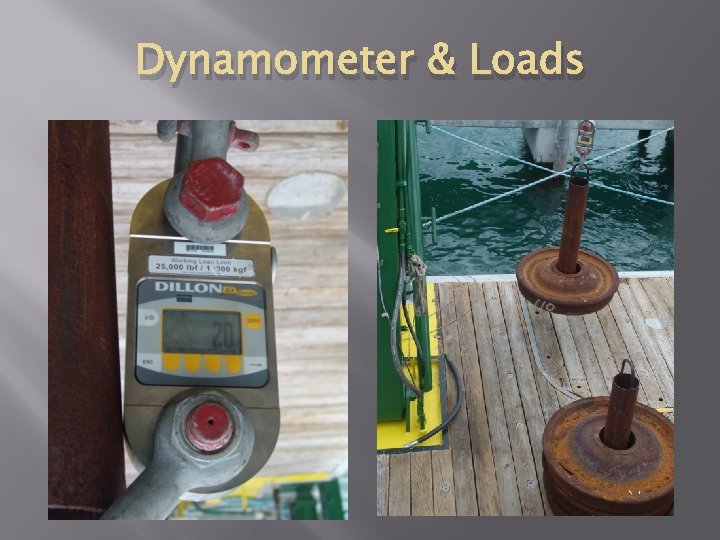 Dynamometer & Loads 