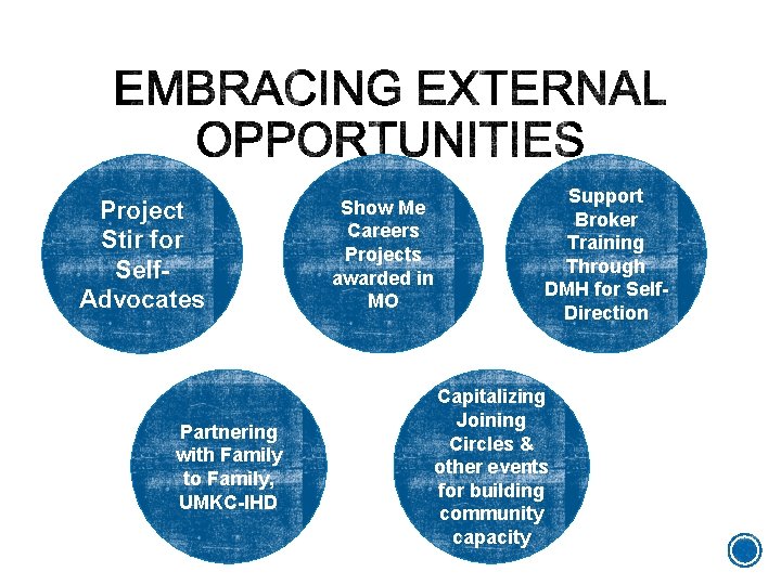 Project Stir for Self. Advocates Partnering with Family to Family, UMKC-IHD Show Me Careers