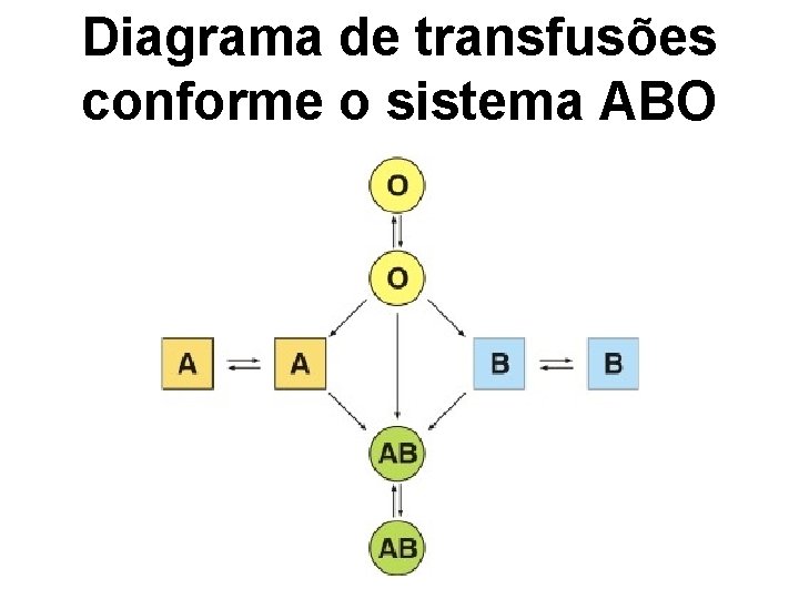 Diagrama de transfusões conforme o sistema ABO 