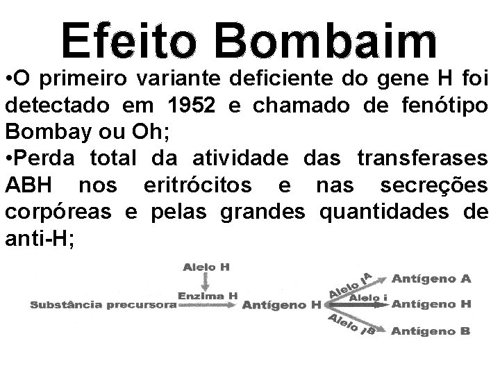 Efeito Bombaim • O primeiro variante deficiente do gene H foi detectado em 1952
