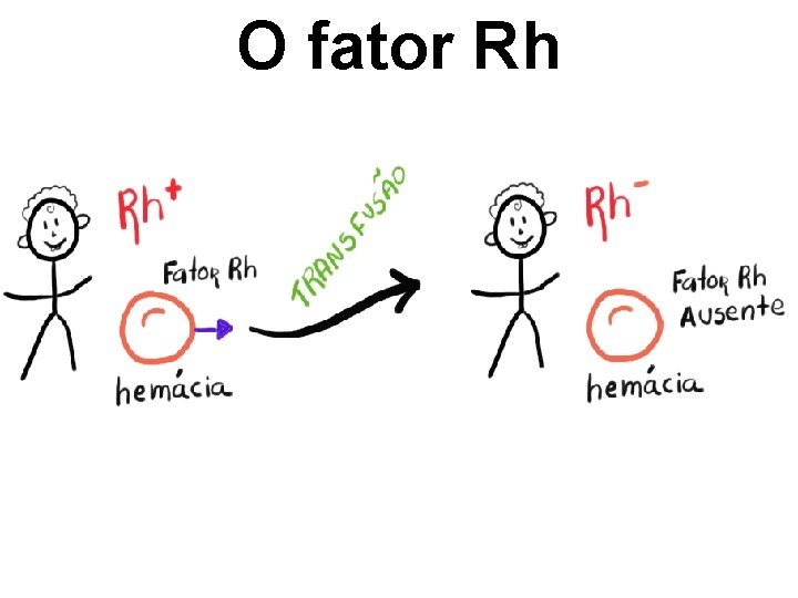 O fator Rh 