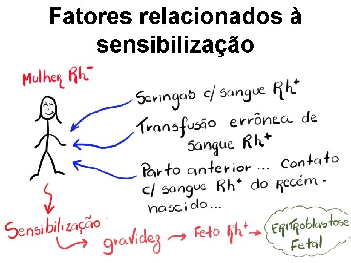 Fatores relacionados à sensibilização 