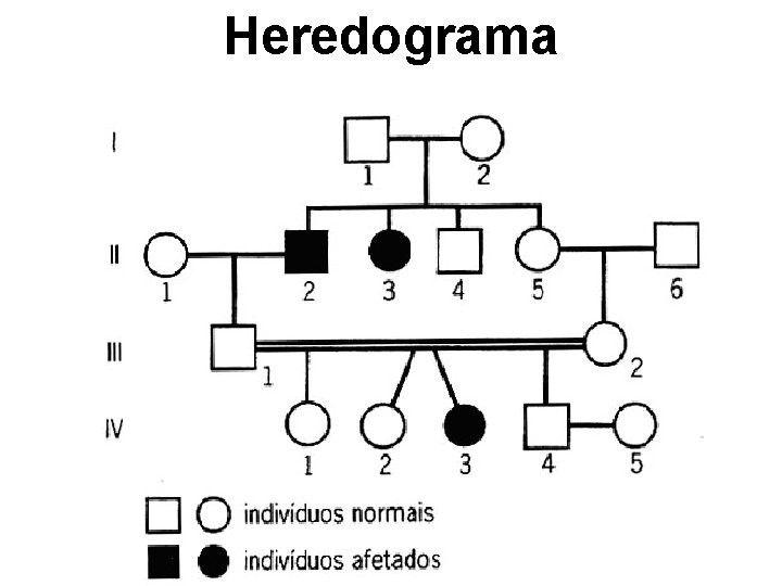 Heredograma 