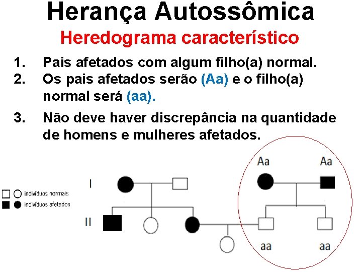 Herança Autossômica Heredograma característico Dominante 1. 2. Pais afetados com algum filho(a) normal. Os
